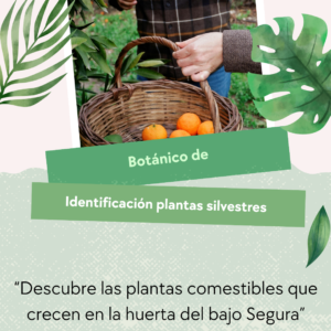 Cuaderno plantas silvestres comestibles I